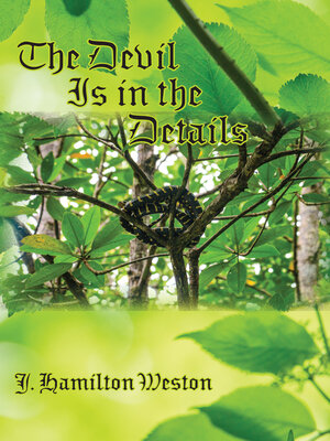 cover image of The Devil Is in the Details